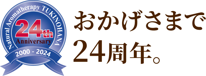 24周年